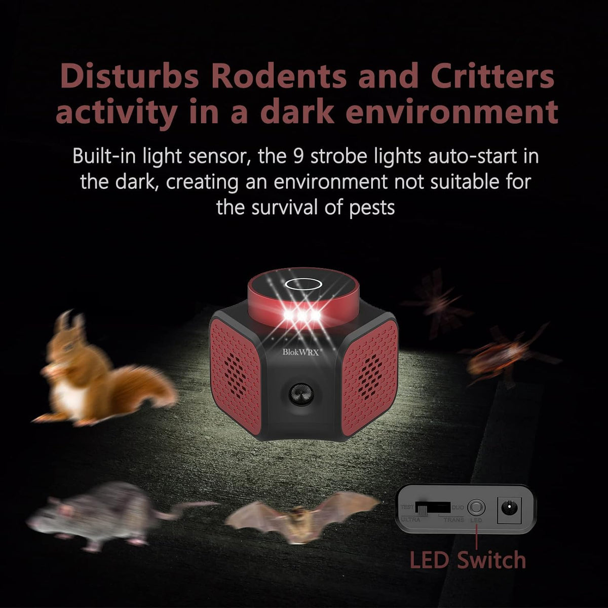 Annie’s Fashion Ultrasonic Indoor Rodent Repellent Plug-In – Safe Pest Control for Mice, Rats, Insects