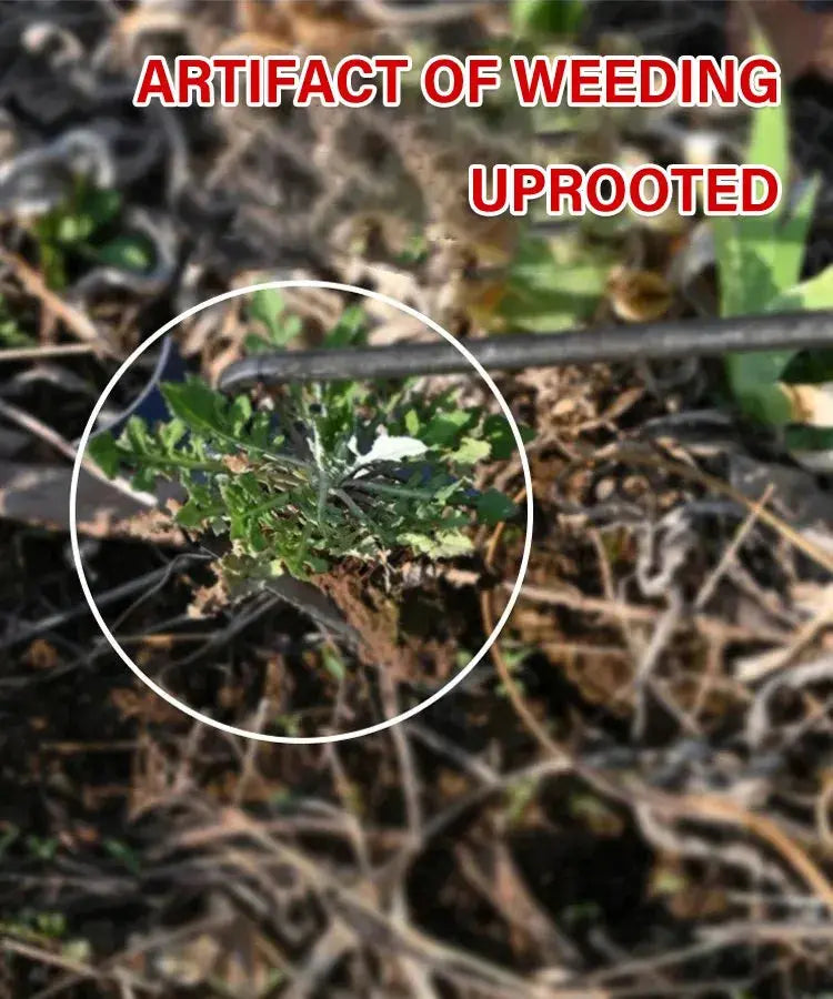 Annie’s Fashion Your Ultimate Weeding Tool