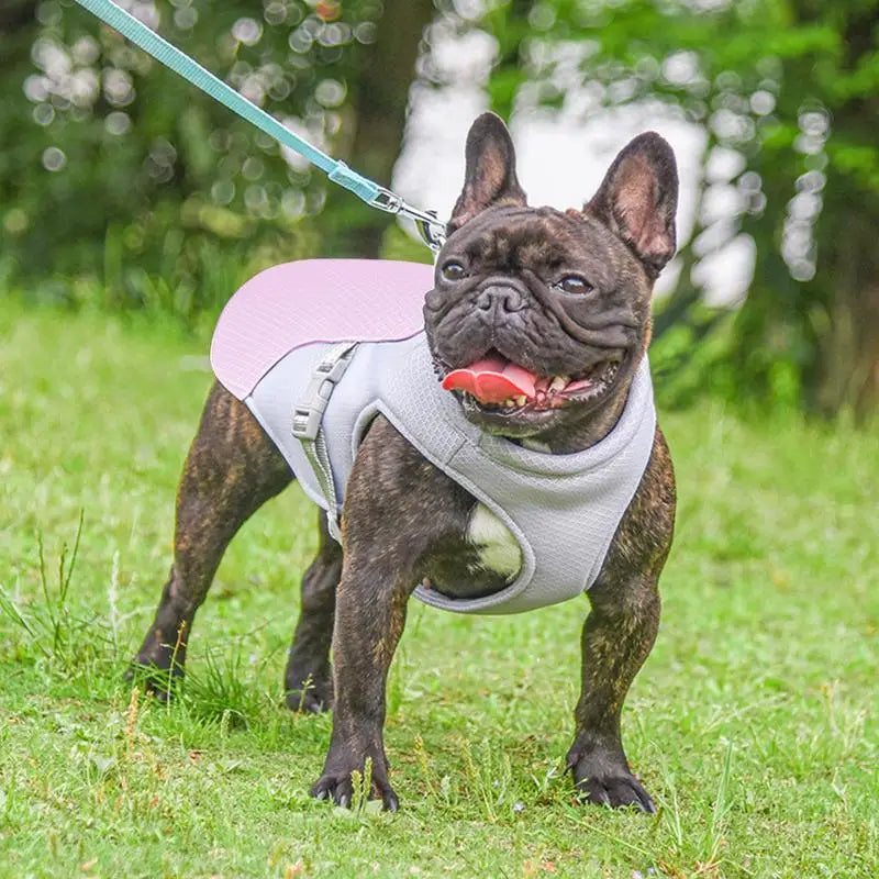 Dog Cooling Vest for Outdoor Activities