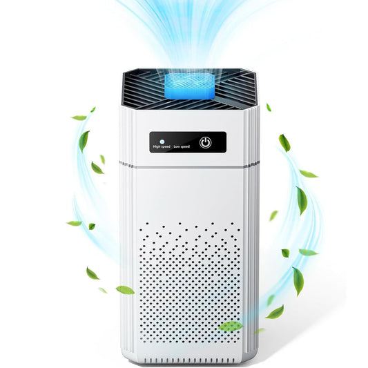 Annie’s Fashion Air Purifier for Home Large Room