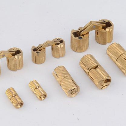Concealed Hinges Recessed Invisible Brass 180 Degree