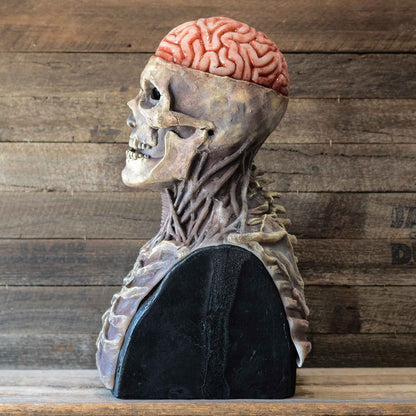 Annies-fashion – Creepy Skeleton Mask | Realistic Skull Mask with Moving Jaw for Halloween Fun