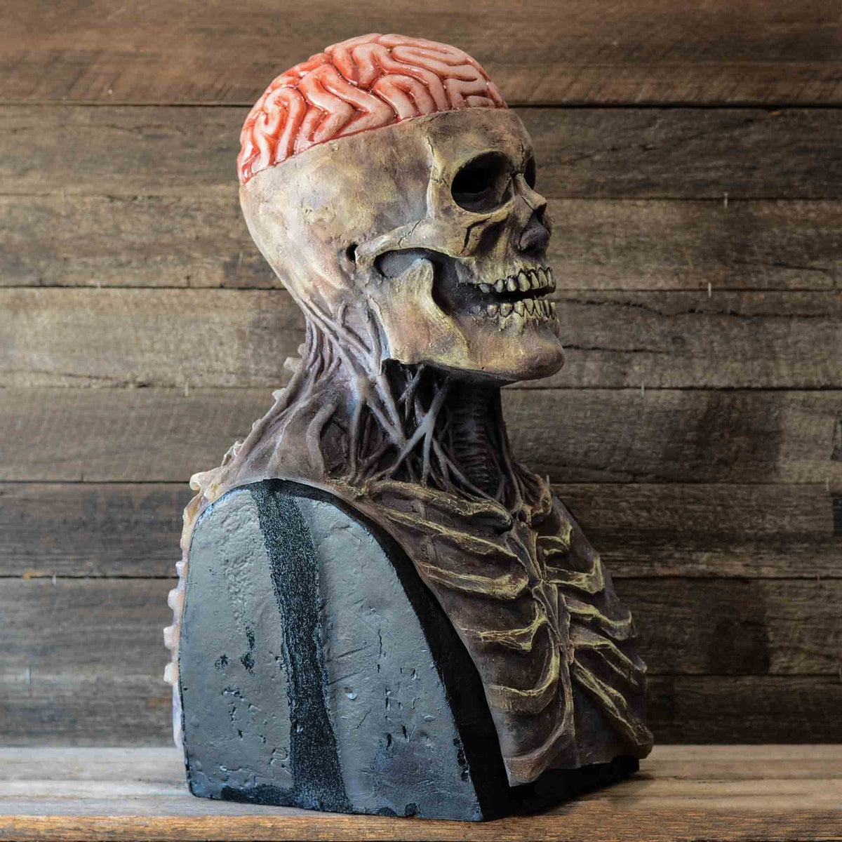 Annies-fashion – Creepy Skeleton Mask | Realistic Skull Mask with Moving Jaw for Halloween Fun