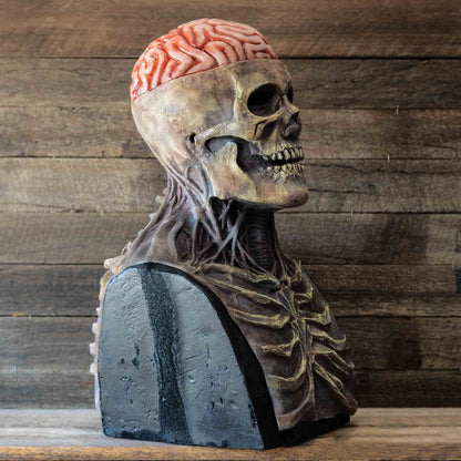 Annies-fashion – Creepy Skeleton Mask | Realistic Skull Mask with Moving Jaw for Halloween Fun