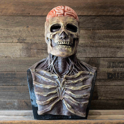 Annies-fashion – Creepy Skeleton Mask | Realistic Skull Mask with Moving Jaw for Halloween Fun