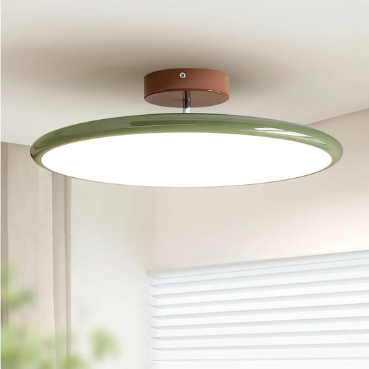 Modern Ceiling Light | Adjustable LED with Sage Green Frame