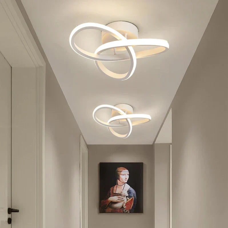 Adjustable LED Ceiling Light, Modern Metal Lighting Fixture