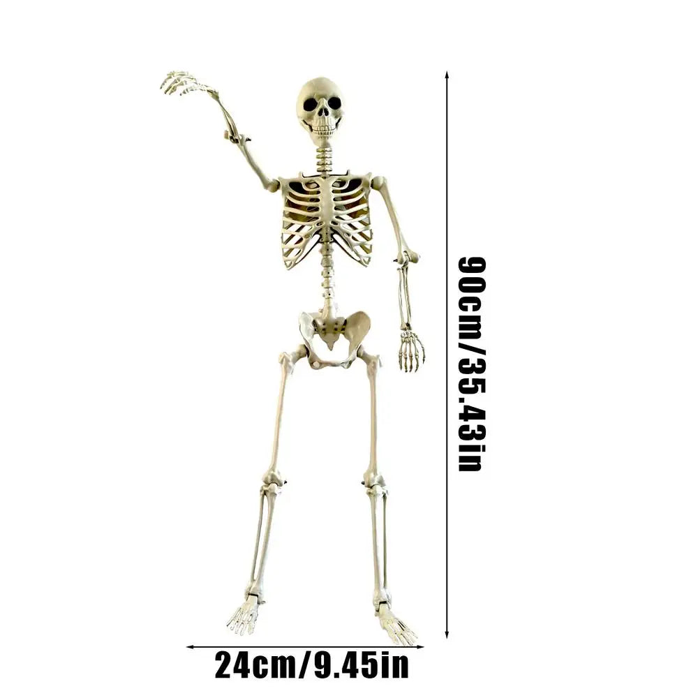 35 Inch Posable Halloween Skeleton with Movable Joints