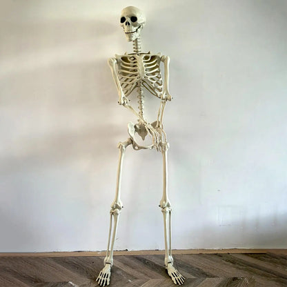 35 Inch Posable Halloween Skeleton with Movable Joints
