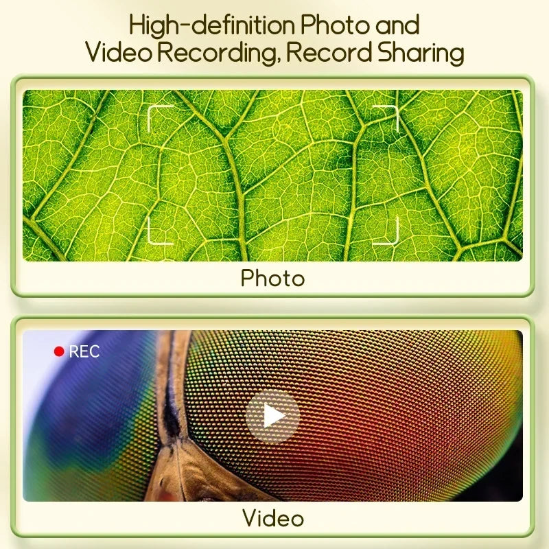 Digital Microscope with Integrated Screen