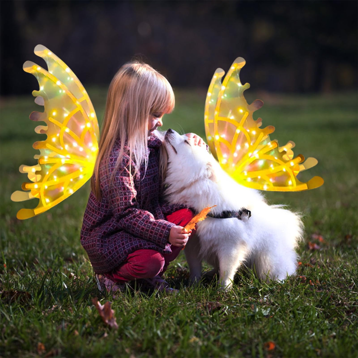 Annie’s Fashion Electric Colorful Kids / Adults LED Fairy Wings Costume