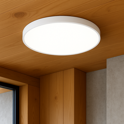 Modern Ceiling Light | Ultra-Thin Black LED Fixture