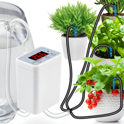 Automatic Watering Pump Controller