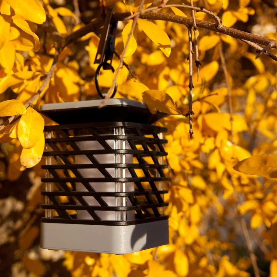 Annie’s Fashion Solar LED Garden Lantern