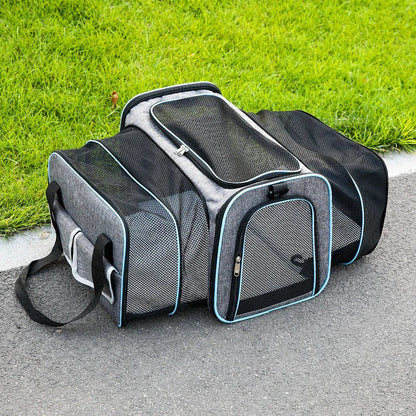 Foldable Pet Carrier Bag