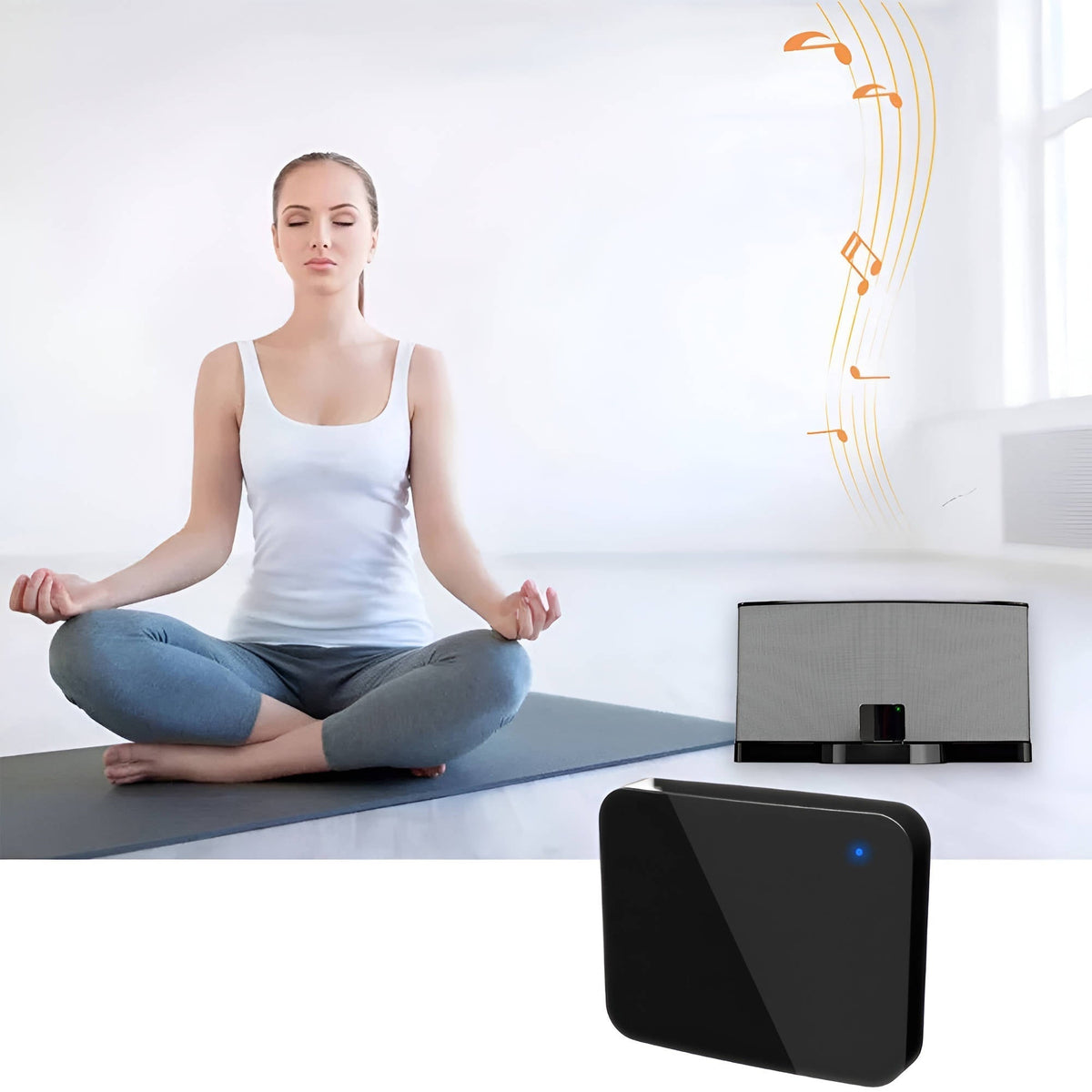 Annie’s Fashion Wireless Audio Transmitter And Receiver System