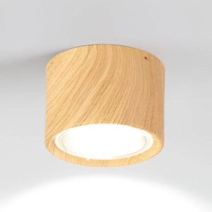 LED Ceiling Spotlight Cylinder, Adjustable Modern Indoor Light
