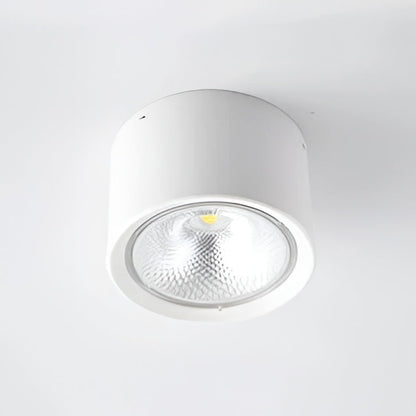 LED Ceiling Spotlight Cylinder, Adjustable Modern Indoor Light