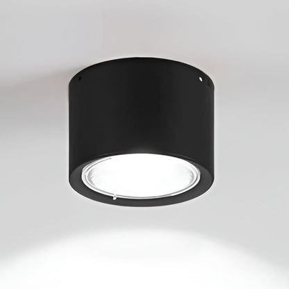 LED Ceiling Spotlight Cylinder, Adjustable Modern Indoor Light